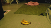 ヤバ…↑ 画像2