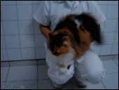 ふぅ～回避…↓ 画像3