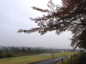 小雨ラン♪ 画像2