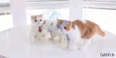 じんわりと…↓ 画像2