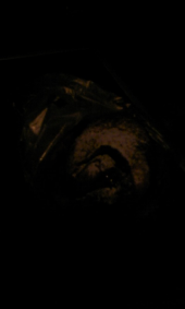 おやつもパン♪ 画像2