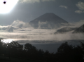 今日は、良い天気