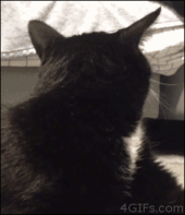 よ…四時（＠＠；…↓ 画像3