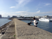 ２４時間 画像1