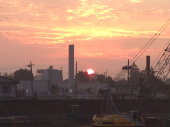 江戸川ラン♪ 画像1