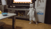 明るく前向きに！…↑ 画像2