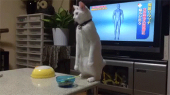 浸かりました♪…↓ 画像3