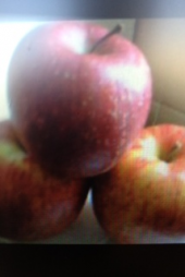 『愛されている果物！」 画像2