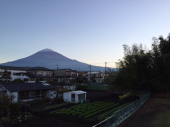 寝坊した 画像1