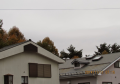 今日は一日曇り空