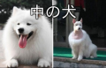 雑感（分かってるやろ編）