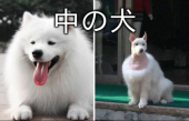 雑感（分かってるやろ編） 画像3