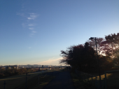 初　手袋♪ 画像2