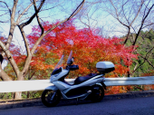 日の出と紅葉 画像1