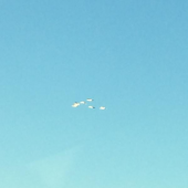 ボジョレーだから〜 画像2