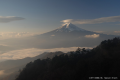 霧が凄い朝であるが良い天気になりそう
