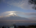 霧が凄い朝であるが良い天気になりそう
