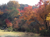 合唱祭、参加します。。 画像1