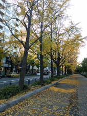 京都へ 画像2