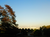 京都へ 画像3