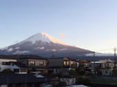 日本晴れ 画像1