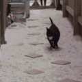 今日は晴天♪…↑