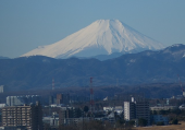 ☆気持ちよく晴れました！☆ 画像1