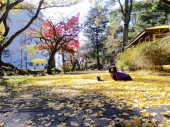 出来た 画像3
