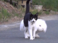 お土産…↑