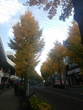 手荒れ知らず 画像2