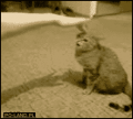 歩いた～…↓