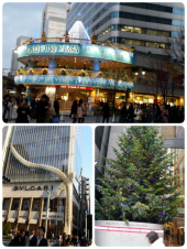 ☆12月ですねー(￣∇￣*)ゞ 画像3