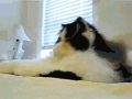 今日はまったり…↑