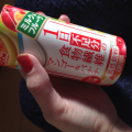 年中ダイエッター