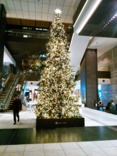 今日のごはん 画像2