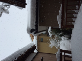 雪…積もった´д` ; 画像2