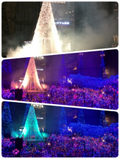 ☆一生分の牡蠣食いました( ^-^)ノ∠※。.:*:・'°☆ 画像3