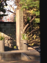 谷中散歩♪…→