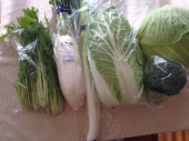 お野菜たち。 画像1
