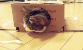 今日も仕事…↑ 画像1