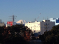 朝ラン♪