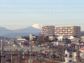 イブですが♪