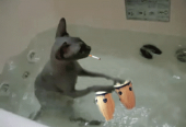 クリパ肥え…↑ 画像1