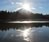 新年明けまして、おめでとうもろこし。(爆) 良い年になりますように 画像3