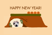 ☆新年明けまし☆ 画像1