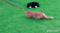 現状維持！…→