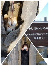 ☆覚悟を決めました！( ￣▽￣) 画像2