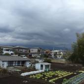 やっぱり神さんがいるのかなぁ 画像1