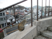 no title 画像3