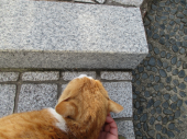 no title 画像2